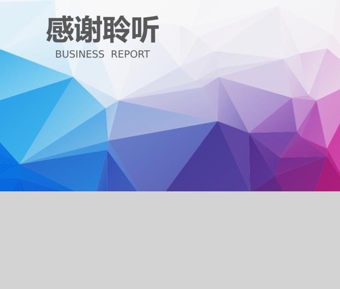 七彩炫光商业计划书-3