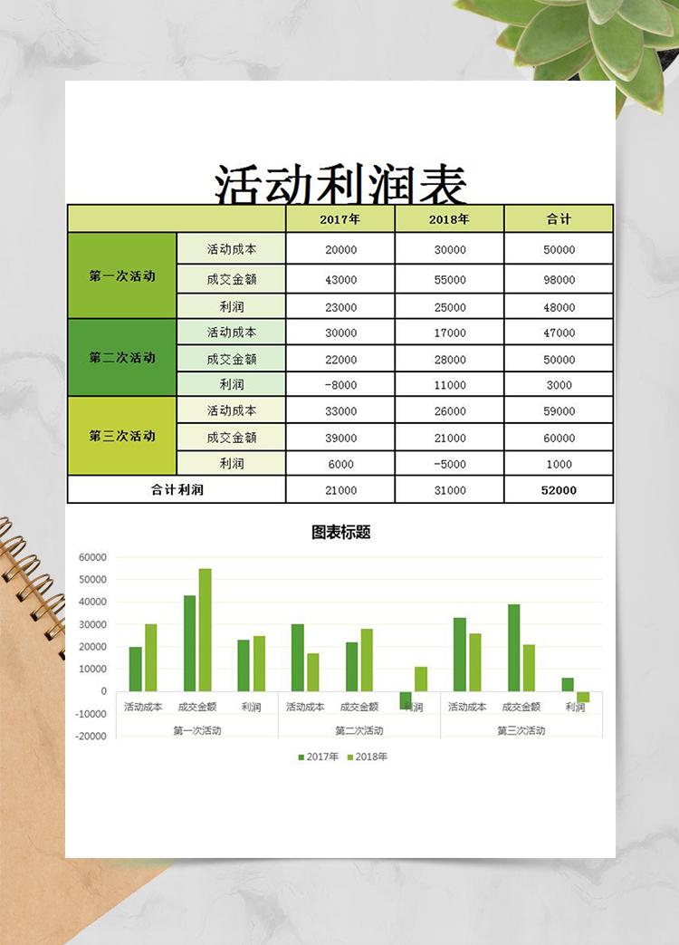 活动利润表