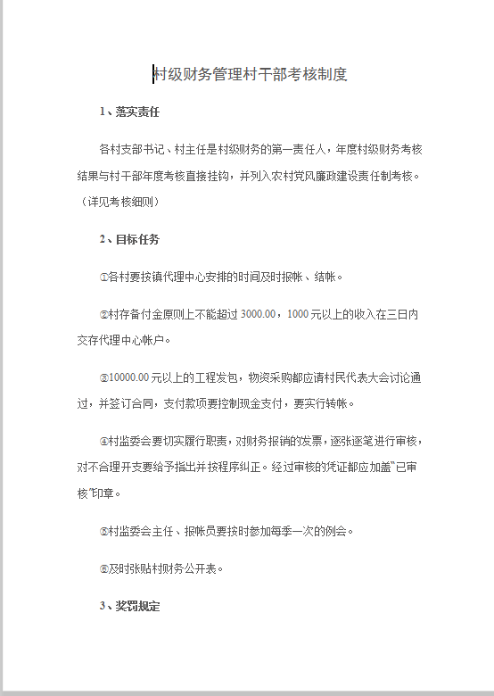 村级财务管理村干部考核制度word模板