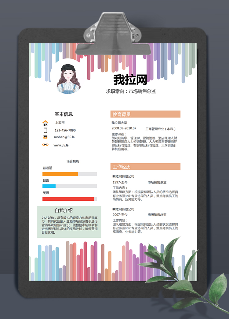 彩虹风格市场销售总监求职简历word简历模板