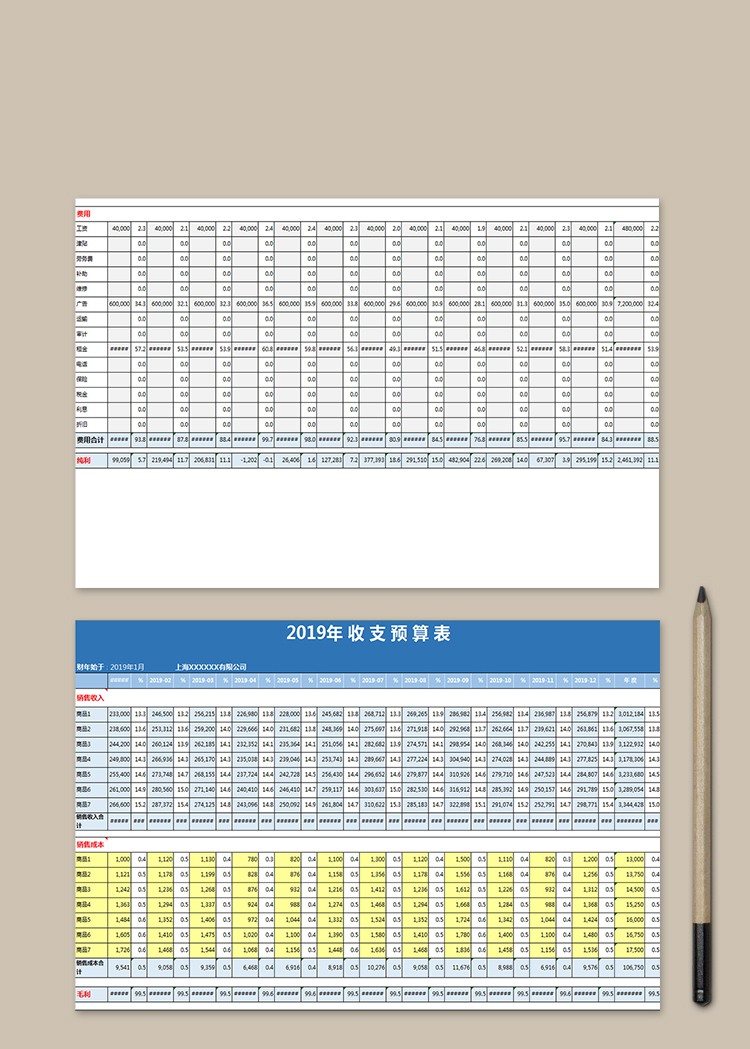 2019年收支预算表